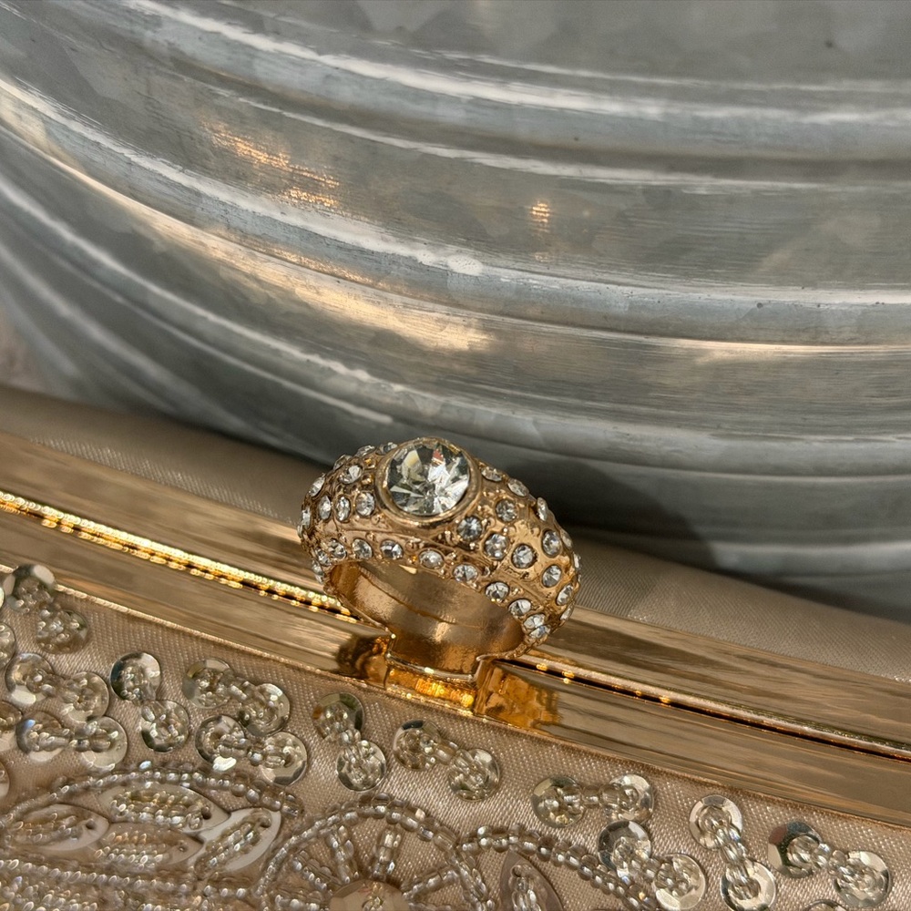 Embellished Beaded Champagne Evening Clutch - Picture 6 of 12